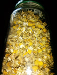 Chamomile, organic - 12g - Egypt