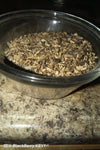 Sarsaparilla Root, wildcrafted