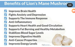 Brain and Nerve Health Capsules