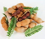 Tamarind & Ginger Moss(detoxes body + fluoride) *TKARONTO ONLY*