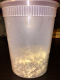 Livertox Me Herbal Tea